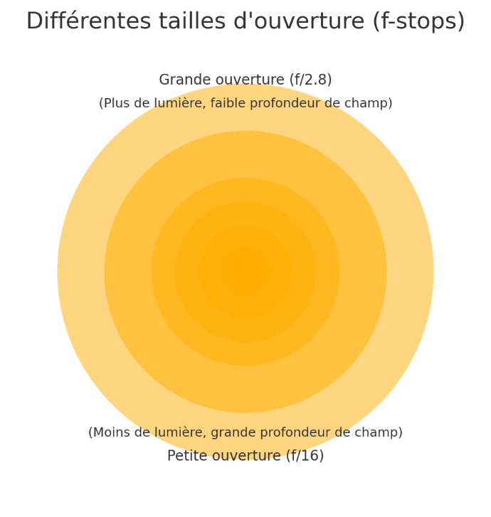 Schéma des tailles d'ouverture en photo